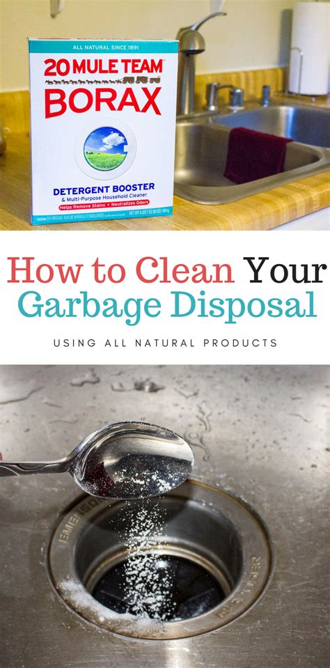 How to Clean Garbage Disposal & Trash Can Naturally | Garbage disposal cleaning, Garbage ...