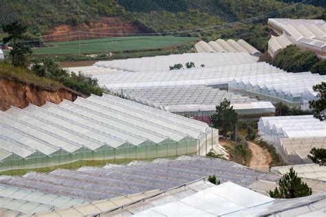 Top View Over the Glass Roof of a Greenhouse Creating a Surreal Manmade Landscape. Stock Photo ...