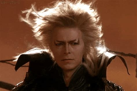 David Bowie Hair GIFs - Find & Share on GIPHY