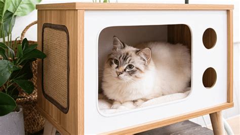 9 Stylish Cat Accessories And Furniture Both You And Your Pet Will Love