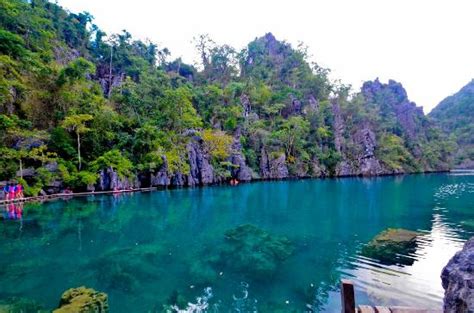 Barracuda Lake (Coron) - All You Need to Know BEFORE You Go - Updated 2020 (Coron, Philippines ...