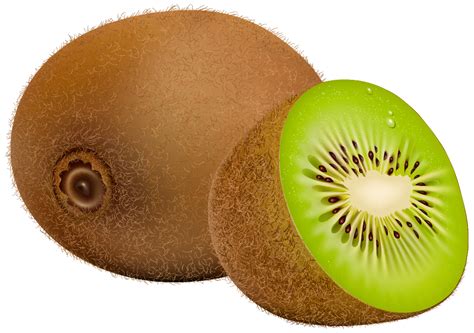 Kiwi fruit clipart - Clipground