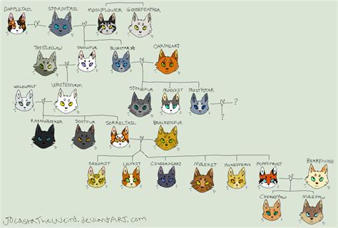 Warrior Cats Family Tree | Discover the Warrior Cats Family Tree