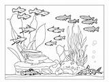 Printable Fish Tank Coloring Page  Free Pages For Kids sketch template