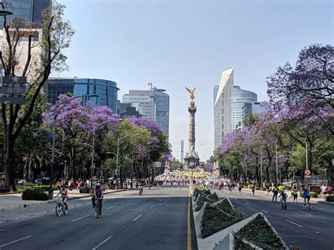 Paseo de la Reforma Connects the Culture and Economy of Mexico City ...