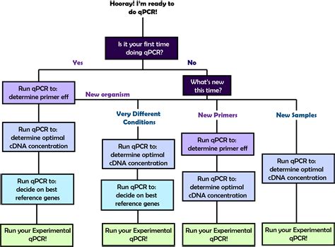 Qpcr Protocol