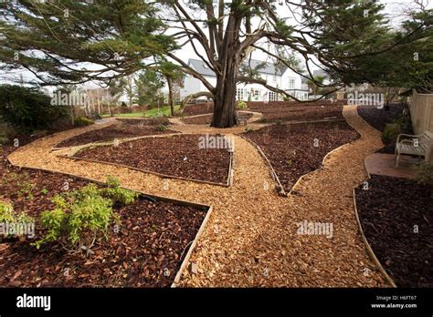 Wood chippings laid as garden paths, wooden edging, and bark Stock Photo: 124508783 - Alamy