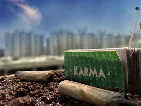 These Biodegradable Cigarette Filters Grow Into Plants - BrightVibes