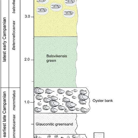 Anatomy of the decapod crustaceans cheliped with an example of a crab... | Download Scientific ...