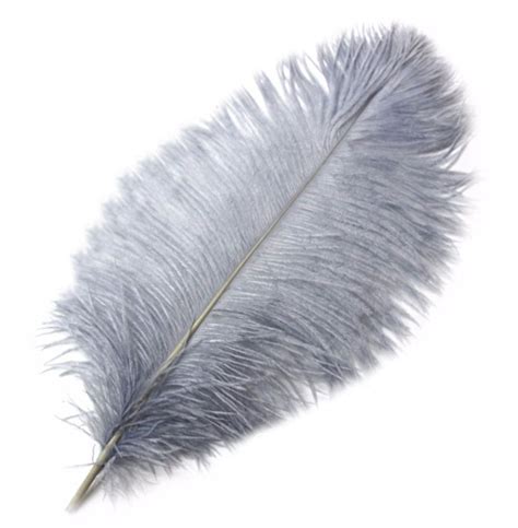 Silver Ostrich Drab Feather