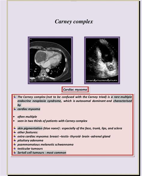 CARNEY COMPLEX - Radiology Classroom