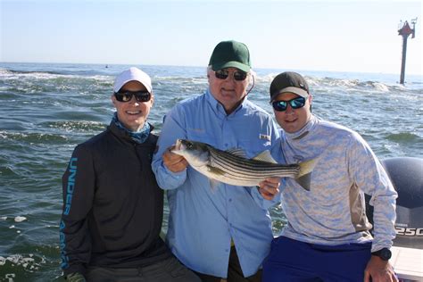 4hr Bay & Inlet Charter - Another Barnegat Bay Slam — Reel Reaction Sportfishing - Barnegat ...