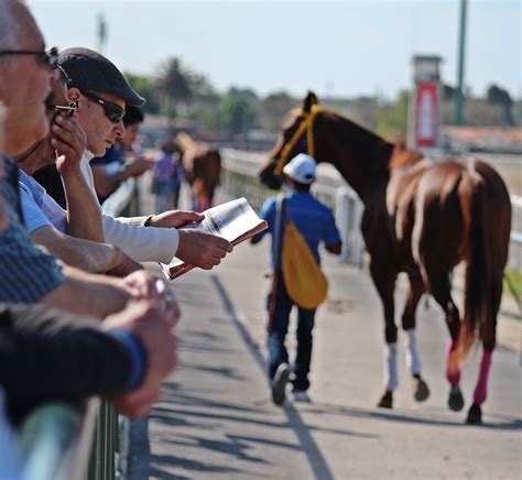 Tips For Greyville Racecourse, South Africa 24 Feb 2019 - South Africa ...