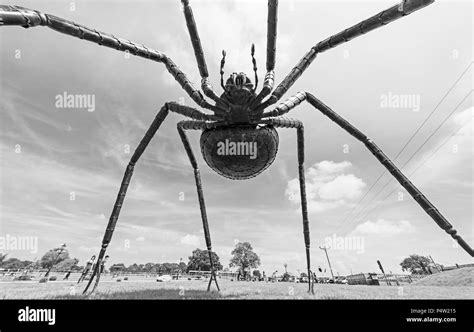 Giant spider sculpture on display at the British Iron Work Centre tourist attraction Stock Photo ...