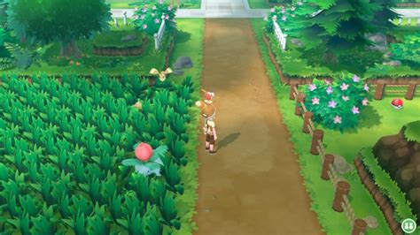 Pokemon Let's Go: Route 2 (Guide And Walkthrough) - Ordinary Reviews