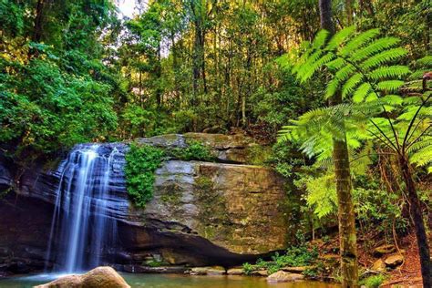 Buderim Falls | Sunshine coast, Things to do, Coast