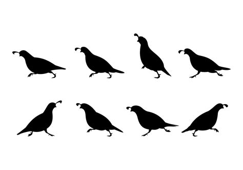 Running Quail Silhouette Free Vector