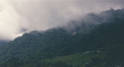 Aerial Photography of Forest With Foggy Clouds · Free Stock Photo