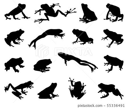 Black silhouettes of frogs on a white background - Stock Illustration ...