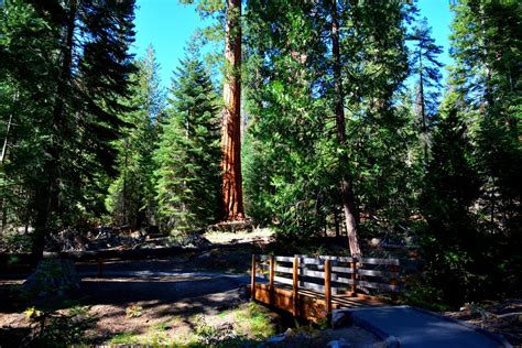 Sequoia National Forest Campgrounds — Pet Friendly Travel