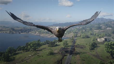 Eagle locations in Red Dead Redemption 2 | Shacknews