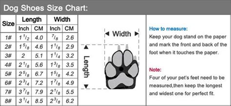 Puppy Paw Size Chart - Everything You Need To Know - Prefurred