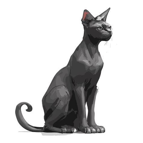 Imagen de gato esfinge negro personalizable y gráfico adaptable | Vector Premium