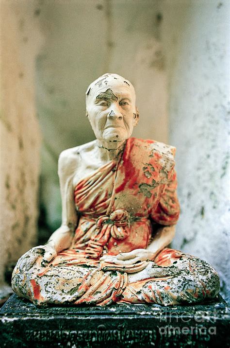 Venerable Old Buddhist Monk Photograph by Dean Harte - Fine Art America