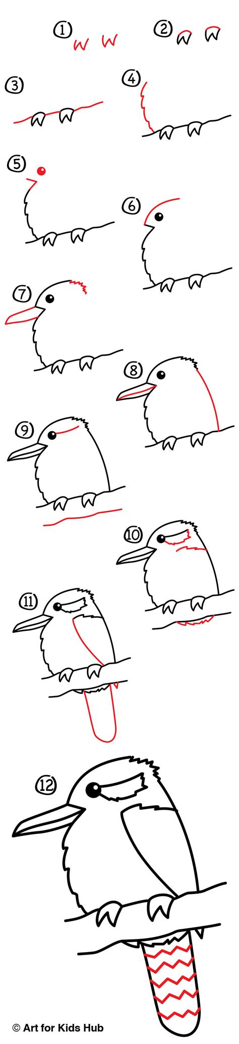 How To Draw A Kookaburra - Art For Kids Hub