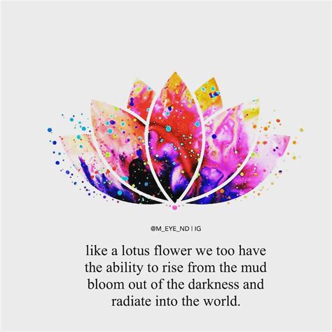 Lotus Flower Meaning In Hinduism - Beautiful Insanity