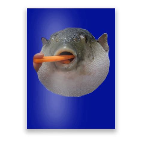 Pufferfish Eating A Carrot Meme Funny Blowfish Dank Memes Gift Poster ...