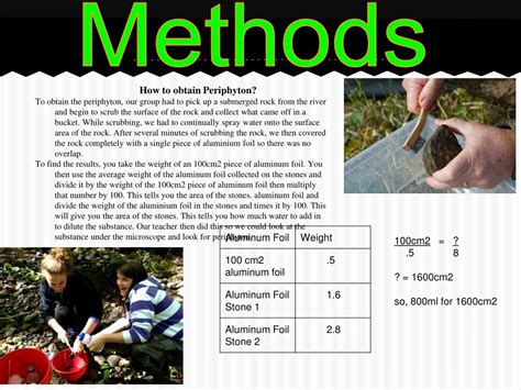 PPT - Periphyton Properties, Methods, and Results PowerPoint ...