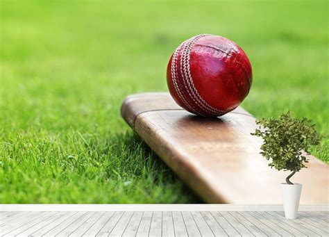 Cricket ball resting on a cricket bat Wall Mural Wallpaper | Canvas Art ...