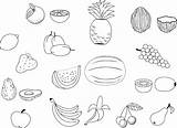 Fruit Salad Coloring Pages sketch template