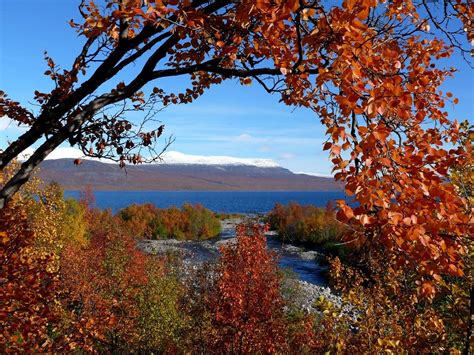 Abisko National Park - All You Need to Know BEFORE You Go (2024)