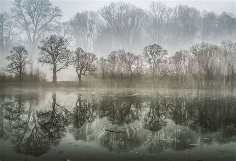 I Captured These Double Exposure Landscapes Using Only My Camera | Double exposure, Abstract ...