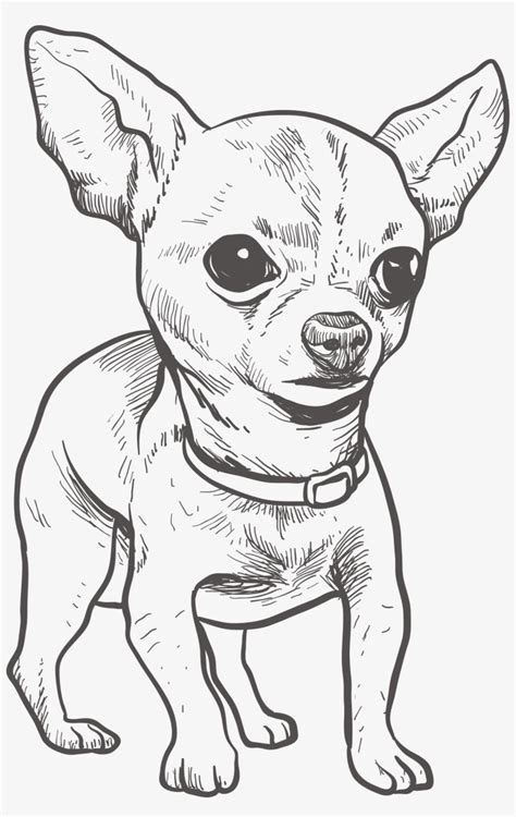 Chihuahua clipart easy draw, Chihuahua easy draw Transparent FREE for download on WebStockReview ...