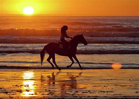 Running Horses On The Beach