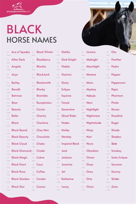 Black Horse Names (866 Great Choices For Your Dark Beauty)