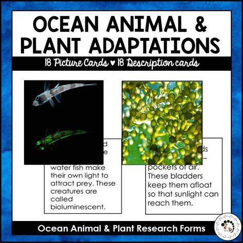 Ocean Animal and Plant Adaptations | Research Forms | Nature Curriculum in Cards | Plant ...