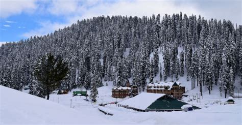 Gulmarg Blanketed in Snow as Season's First Snowfall Arrives - TheDailyGuardian