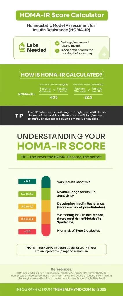 HOMA-IR Calculator for Insulin Resistance - The Healthy MD