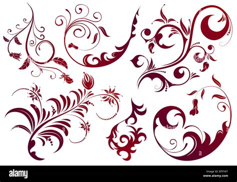 Collect Floral scroll, element for design, vector illustration Stock Photo - Alamy