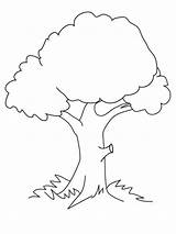 25 Free Tree Coloring Pages For Kids And Adults sketch template