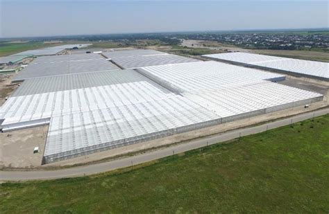 Russia expands year-round tomato production with greenhouse project ...