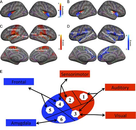 Figure 1 from The Roles of Subdivisions of Human Insula in Emotion ...