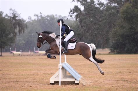 Competitive Eventing Pony « Sport Horse Nation