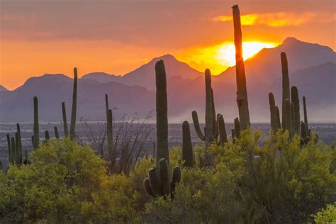 Arizona's National Parks and Park Pass Information