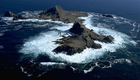 Great White Shark | Farallon islands, Island, Whale watching