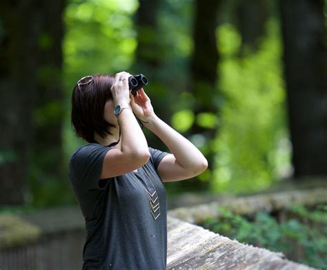 Bird Watching in Maple Ridge, BC | Wild & Immersive